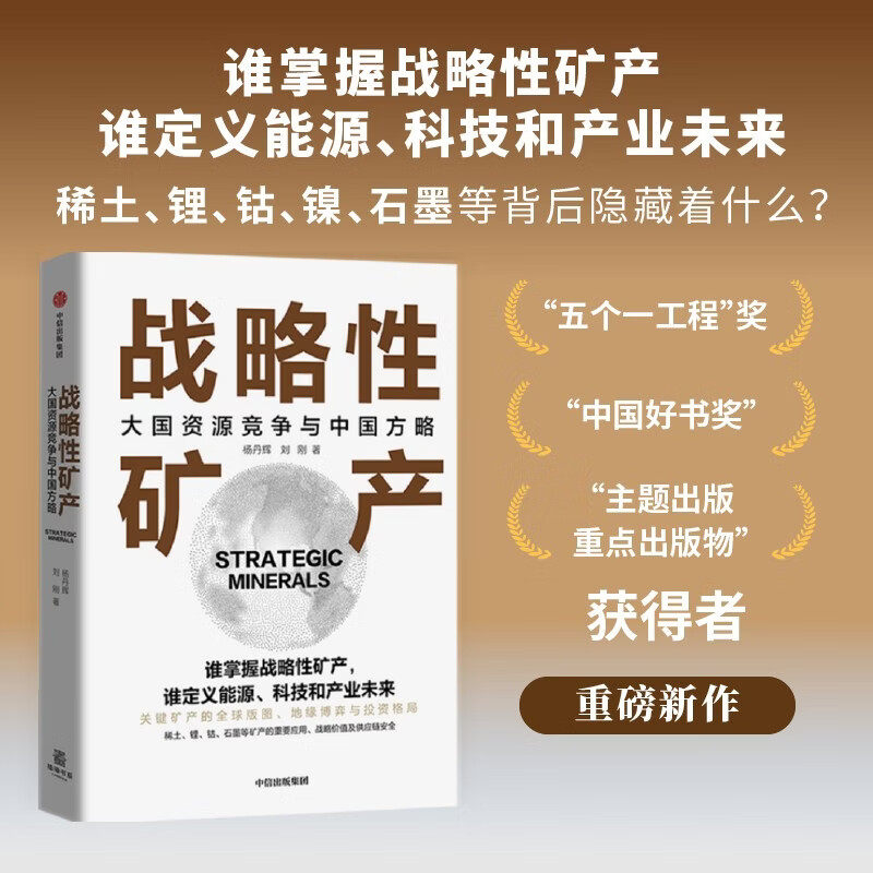 战略性矿产 大国资源竞争与中国方略 杨丹辉 刘刚 著 稀土 锂 钴 石墨等全球关键能源的争夺与投资策略 清洁能源转型 高科技产业