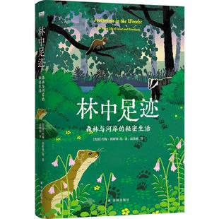 秘密生活 丛书：林中足迹：森林与河岸 天际线