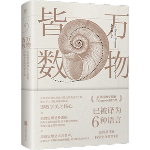 万物皆数 从史前时期到人工智能 米卡埃尔·洛奈 著 数学之美的力量 跨越千年的数学之旅数学科普书 几何原本真与美丘成桐的数学观