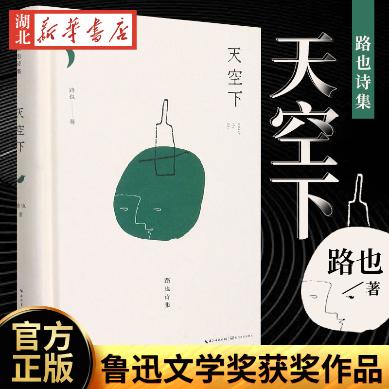 正版 现货速发 天空下 路也 著 鲁迅文学奖获奖作品 中国现当代诗歌文学 新华书店正版图书籍 长江文艺出版社 - 实物图