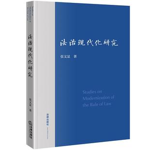 张文显法学文选(卷十四) 法治现代化研究