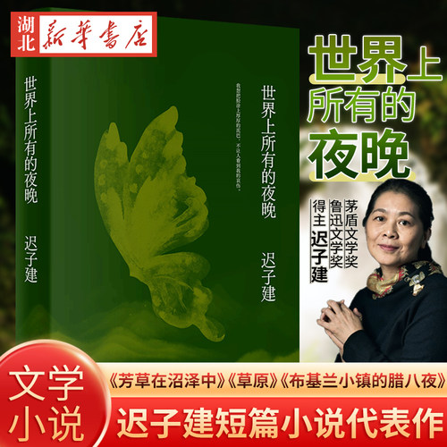 世界上所有的夜晚迟子建作品