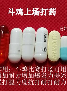 斗鸡抗打药斗鸡提兴药斗鸡比赛打料斗鸡上场打药斗鸡比赛抗打药鸡