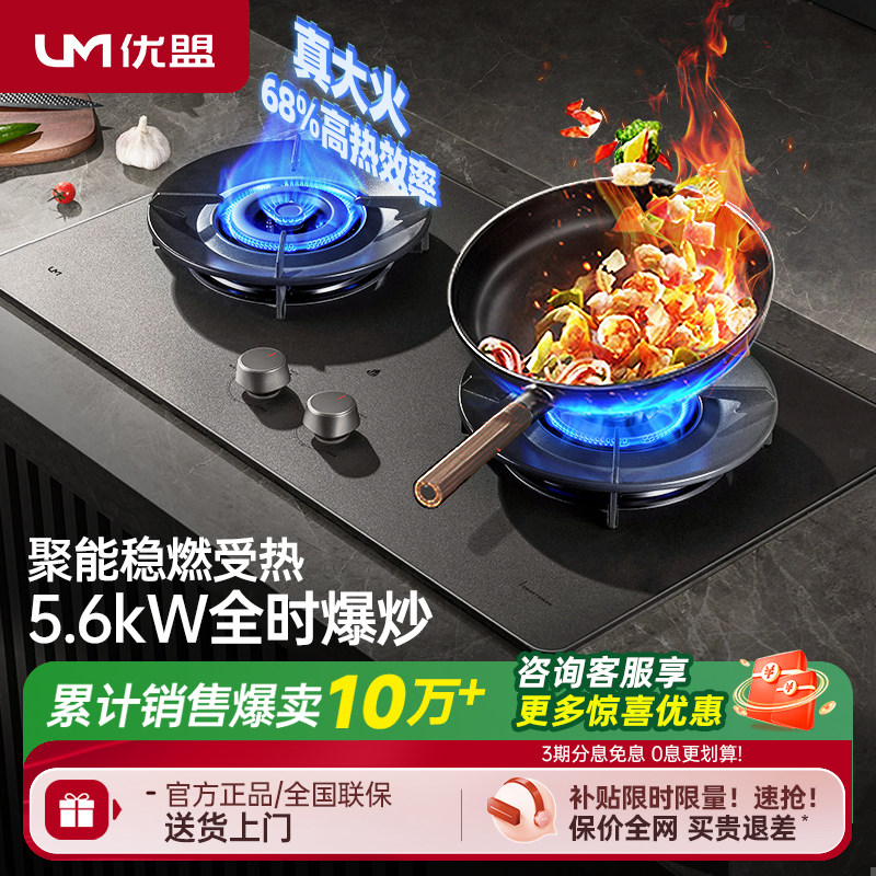 �����ͻ�ȼ����ú�������˫��Ƕ��ʽ��Ȼ��ȼ����¯Һ������̨ʽ 258Ԫ