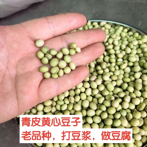 农村青皮豆到豆浆做豆腐产地直销