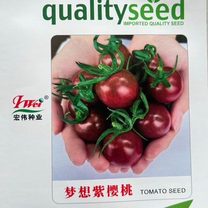 梦想紫樱桃 口感香甜 风味好 抗病毒