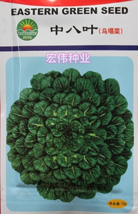 绿东方中八叶乌塌菜种子 塌菜塌棵菜塌地松黑菜种子 小菜园种菜