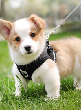 背心式狗狗牵引绳中小型犬猫咪牵引绳柯基背带防挣脱狗链子遛狗绳