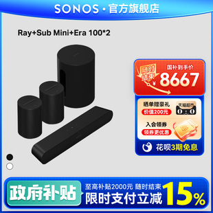 Ray Mini Sonos Sub 5.1电视音响回音壁低音 Era100 2家庭影院套装