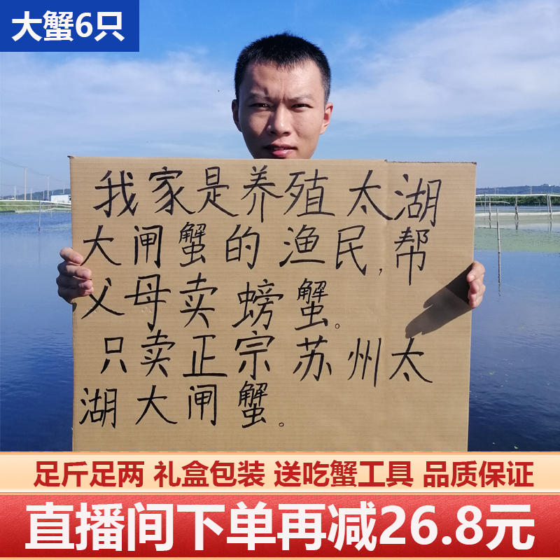 太湖大闸蟹大蟹6只装鲜活螃蟹