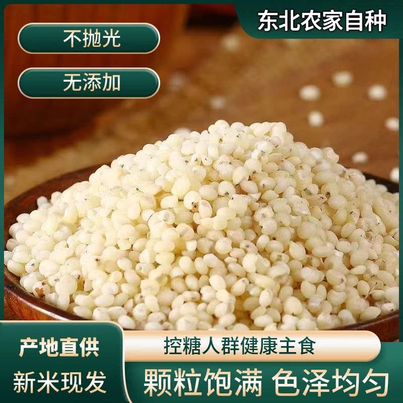 不掺陈米】白高粱米自产现磨去皮粘红糯高粱糙米干净重易煮粥稀饭