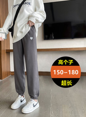 高中初中学生加长版裤子女175高个子束脚运动裤宽松ins潮休闲卫裤