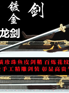 正品龙泉九龙剑花纹钢烧刃宝剑汉剑唐剑镇宅一体剑唐横刀剑未开刃