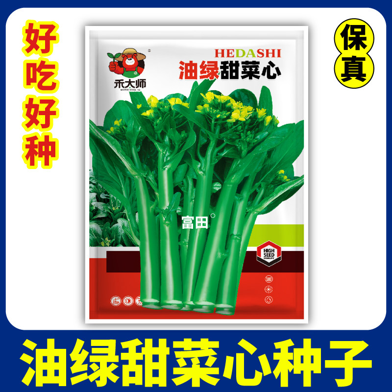当季新种四季甜菜心种子高产早熟春秋庭院可播种田园小青菜种籽