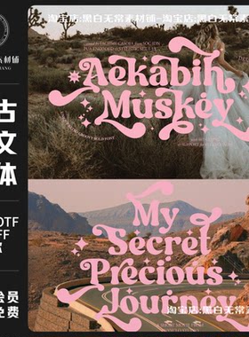 美式复古欧式俏皮可爱美丽花体logo徽标衬线装饰西文英文字体素材