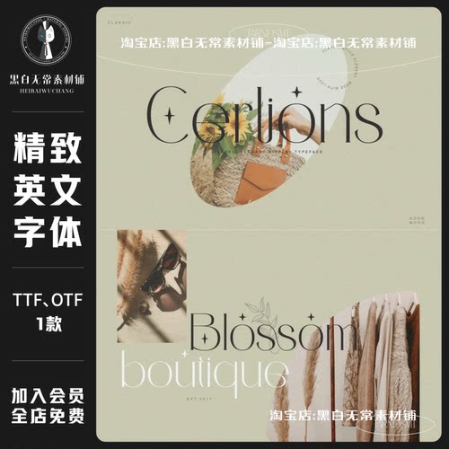 优雅轻奢现代logo标题海报排版宣传广告英文衬线体PS安装字体素材