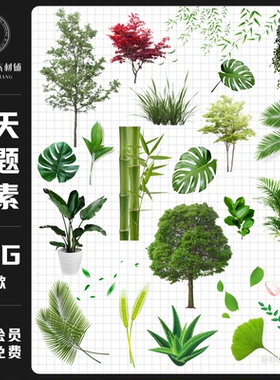 春天清新绿色植物柳树木绿叶竹子电子手账PNG免扣图饭圈美工素材