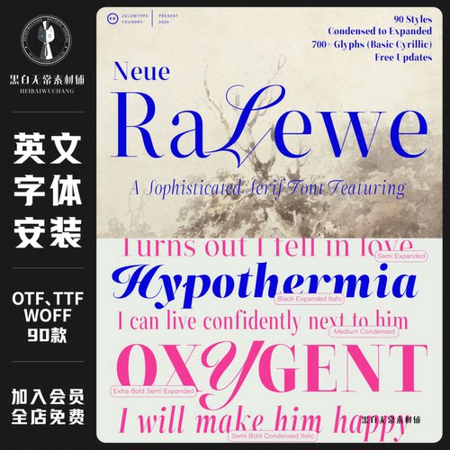 时装杂志平面标题logo徽标时尚艺术海报设计衬线英文字体安装素材