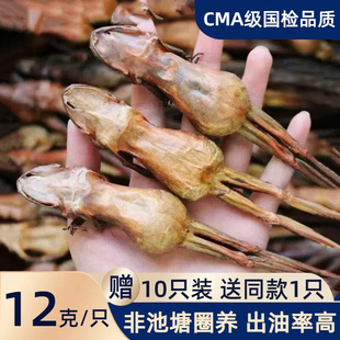 长白山雪蛤干正宗东北林蛙干整只雪蛤油木瓜炖雪哈1份10只送1只