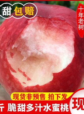 【官方力荐】陕西水密桃采摘发货