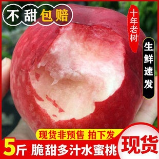 新鲜露天水蜜桃5斤桃子当季现摘水果冬桃软毛桃子脆甜水密桃包邮