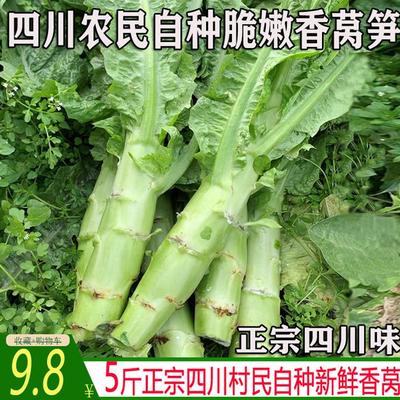 四川农家自种新鲜莴笋