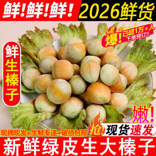 【官方正品】新鲜东北大榛子