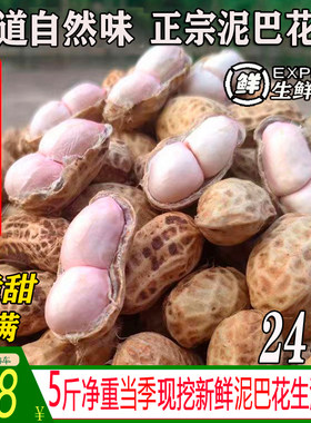 【官方正品】当季新鲜泥巴花生