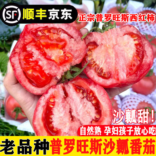 【泾阳原产】正宗普罗旺斯