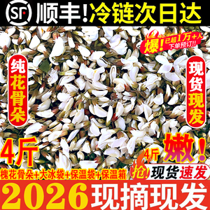 【官方力荐】2026现摘洋槐花