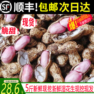 【天府花生】四川当季新鲜花生