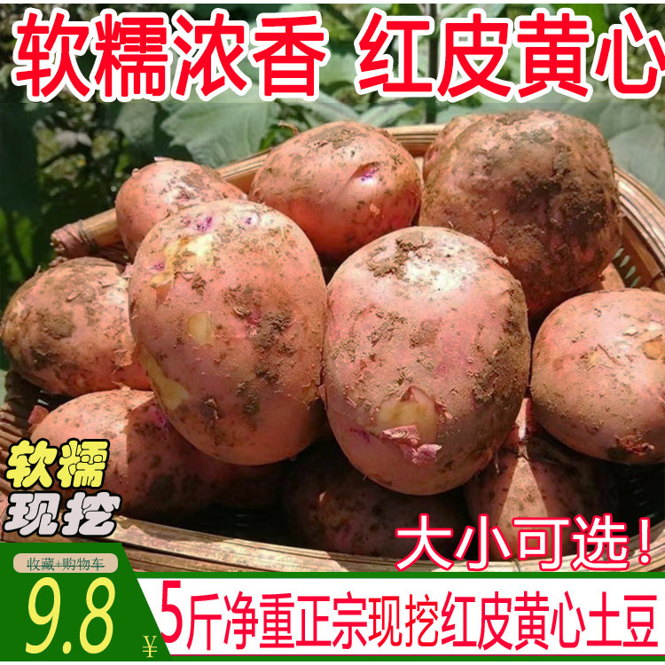 【现挖现发】当季土地