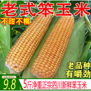 正宗老式玉米新鲜笨玉米棒现掰现发苞米农家特产黄玉米非甜糯5斤