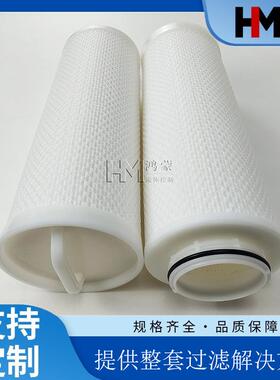 反渗透化学清洗过滤器20寸大流量滤芯PF005-20650N精度5μm