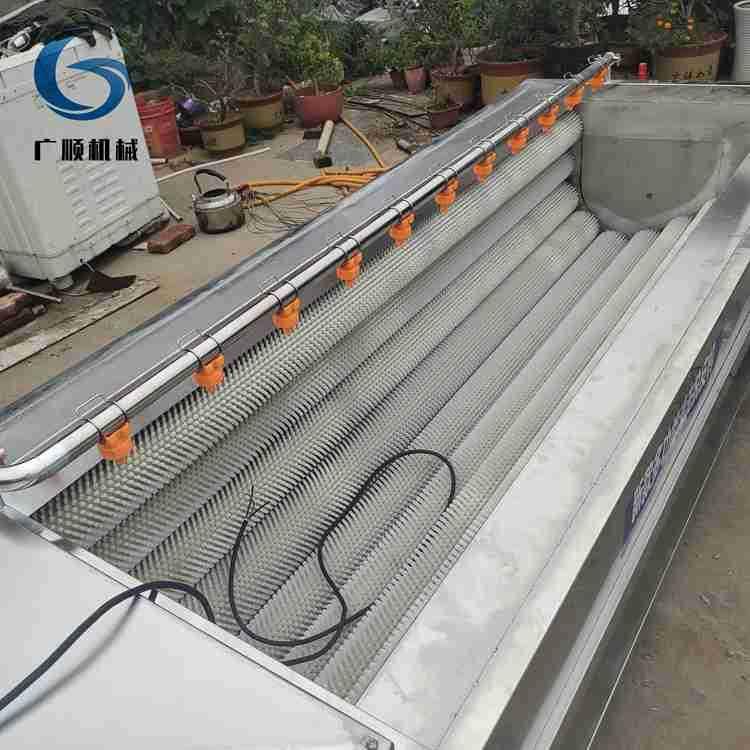 核桃清洗机厂家可定zuo大小毛辊清洗设备果蔬根茎蔬菜清洗机