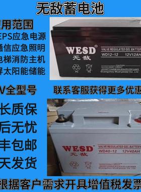WESD无敌蓄电池WD65-12机房UPS直流屏12V100AH65A38AH24A17AH备用
