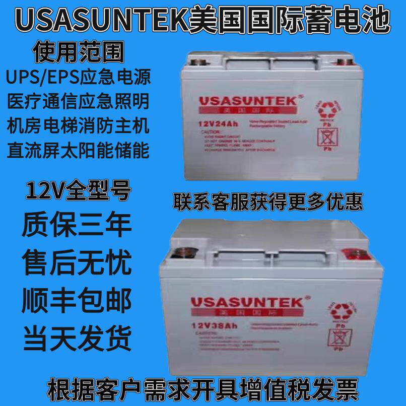 USASUNTEK美国国际UPS蓄电池UD12V7AH17A24AH38A65A100A150A200AH
