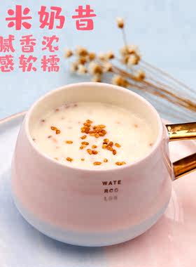 懿家 玄米奶昔苦荞麦米浆糊早餐饱腹代餐粉茶糊汁冲饮泡即食500克