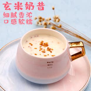 懿家 玄米奶昔苦荞麦米浆糊早餐饱腹代餐粉茶糊汁冲饮泡即食500克