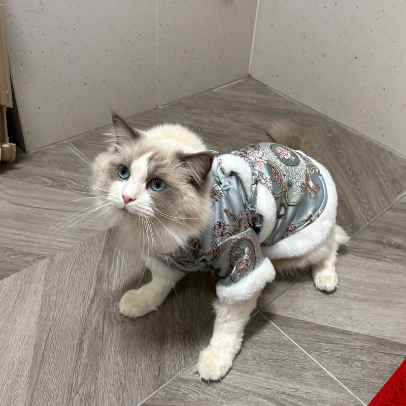 盘扣唐装小狗狗棉衣服新年喜庆冬季泰迪比熊博美猫咪宠物过年冬天