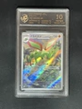 10-Point Rating Card/Desert Dragonfly