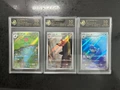 10-Point Rating Card/Frogas/Pyro Dinosaur/Kami Turtle