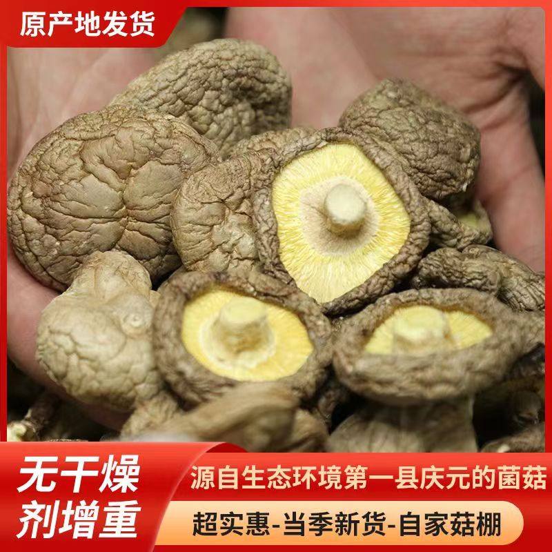 庆元香菇干货500g包邮新货厚肉无根家用干香菇正宗干蘑菇煲汤花菇