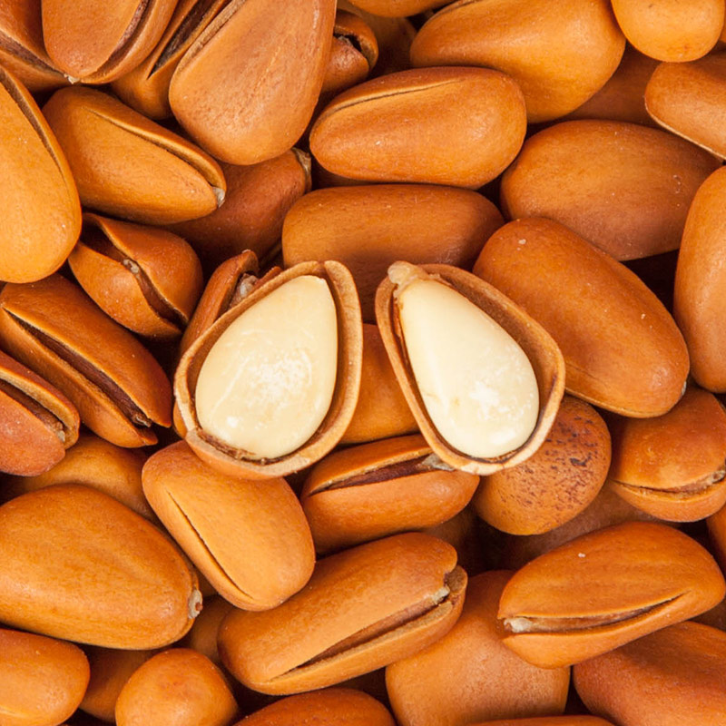 溪味道东北开口松子500克