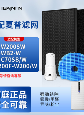适配夏普空气净化器滤网KC-W200SW/WB2/C70SB/KJ200F-W200过滤芯