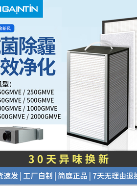 适配大金新风机全热交换器过滤网VAM350/150/250/500GMVE滤芯GVHV