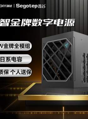 鑫谷数智DM850G电源双金牌全模智能数字850W全日系电容ATX3.1电源