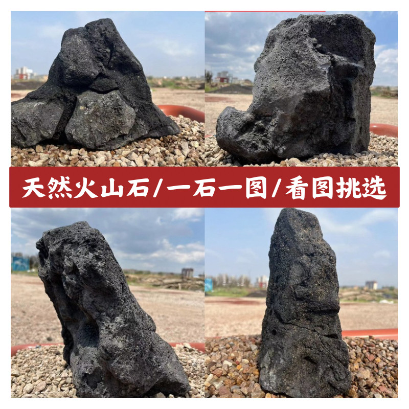 天然黑色火山石鱼缸石头一石一拍熔岩石草缸大号假山盆景石造景石