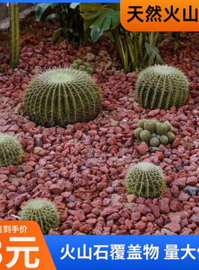 火山岩颗粒批发火山石红色无机覆盖物树穴铺面花境花园土壤盖物