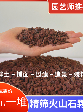 天然红色黑色火山石火山岩多肉兰花拌土铺面石鱼缸过滤铺底包邮
